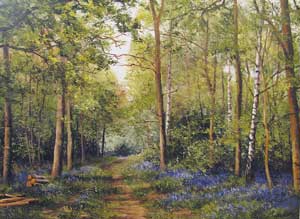 Bluebells In Spring - Peter Barker