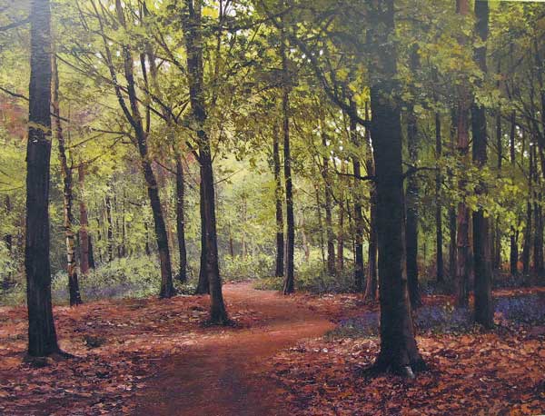 Southey Wood Beeches - Peter Barker