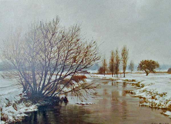 Serene Snow - Peter Barker