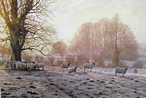 Gold & Silver - Peter Barker