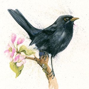 Sing A Song Sixpence (Blackbird) 