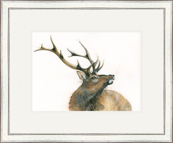 Monarch Of The Glen (Stag) - SML