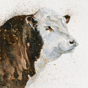 Wellington (Hereford Bull)