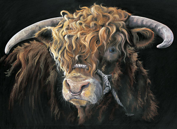 Big Mac (Highland Bull) Large