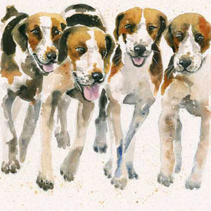 The Pack (Fox Hounds)