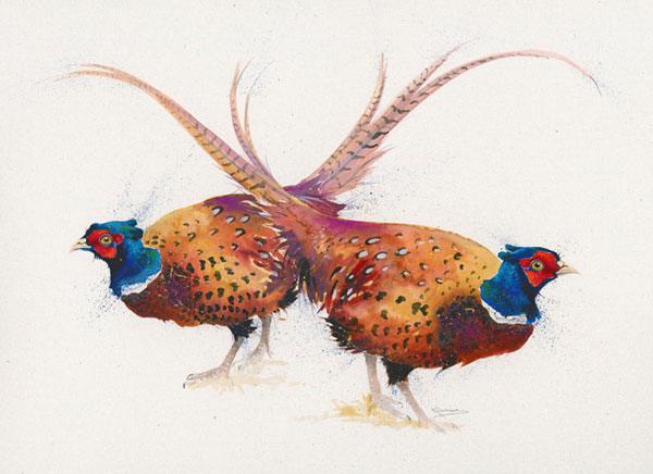 Pheasant Greetings (Pheasant) - LGE