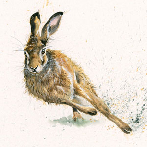 Running Wild (Hare)