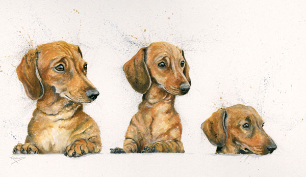Sausages (Dachsunds) - SML