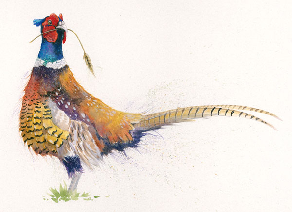 Country Bumpkin (Pheasant) - SML