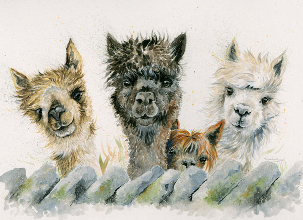 Hair Bear Bunch (Alpacas) - LGE 