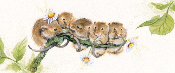 Social Gathering (Dormice) 