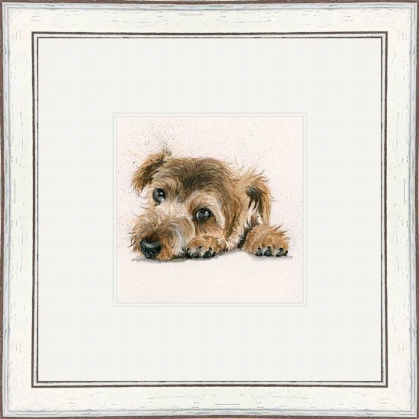 Bootiful (Border Terrier) 