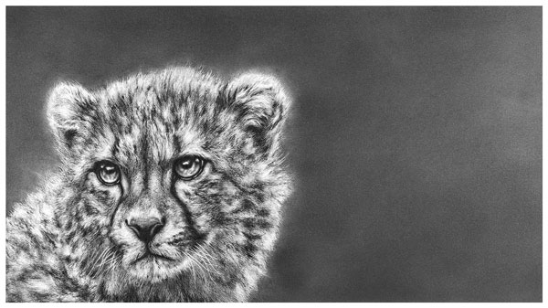 Born To Run (Cheetah) 