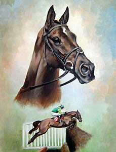 Denman - Caroline Cook 