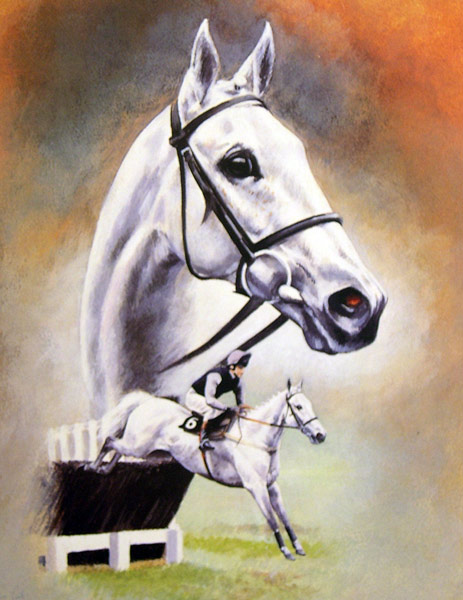 Desert Orchid - Caroline Cook