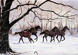 Winter Gallop - Caroline Cook 