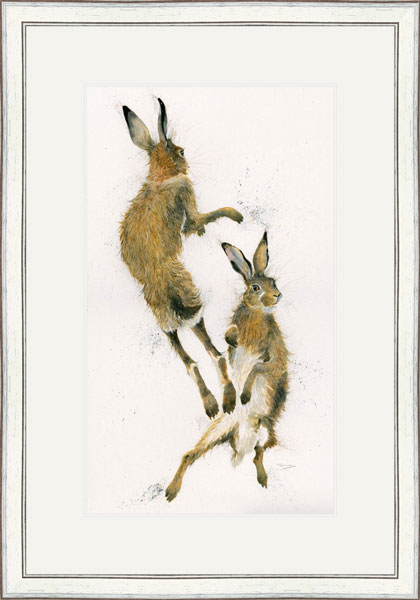 Challenger (Hares) - LGE