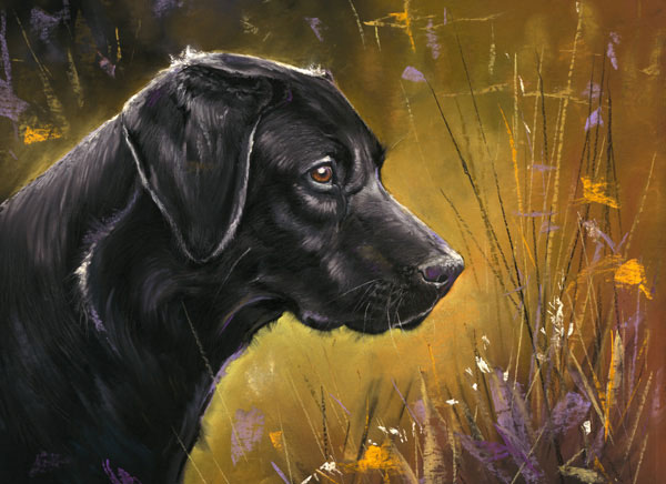 Game Boy (Black Labrador) - SML 