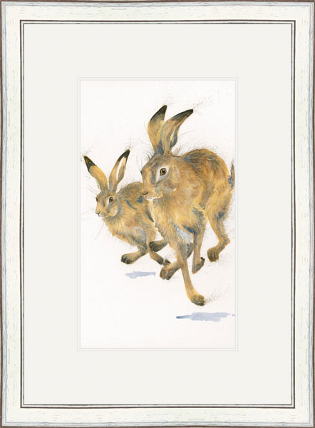 Going For Gold (Hares)