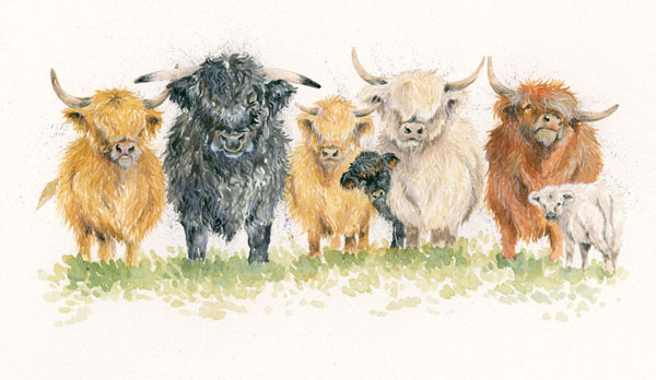 Hairy Coos - SML 