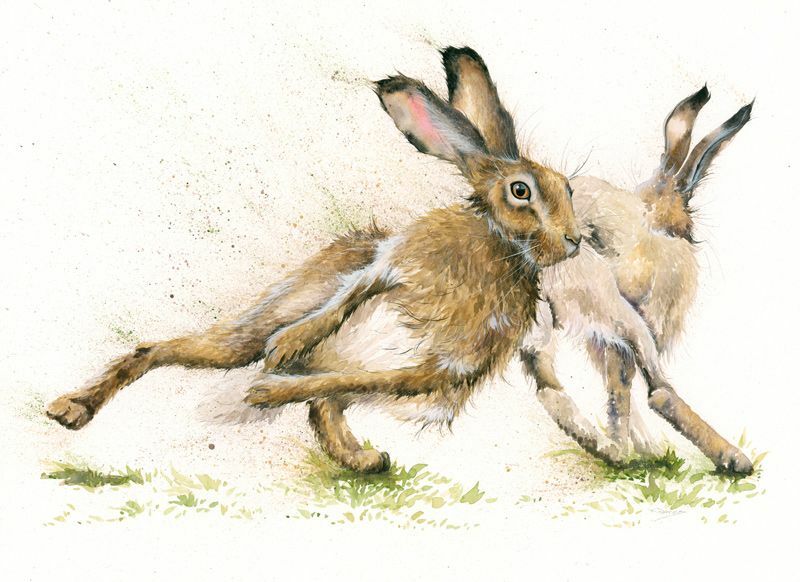Hare Racing (Hares) - SML 