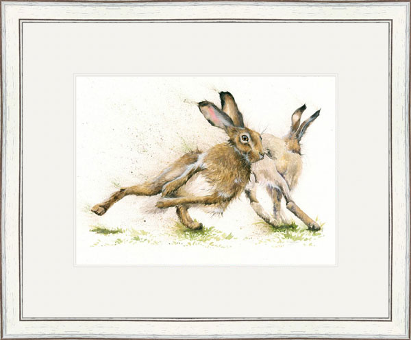 Hare Racing (Hares) - SML 