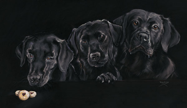 Jammie Dodgers (Black Labradors) - Sml