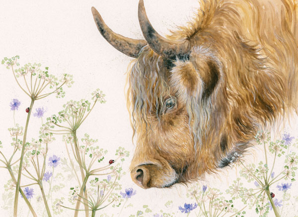 Ladies Day - Highland Cow (Sml) 