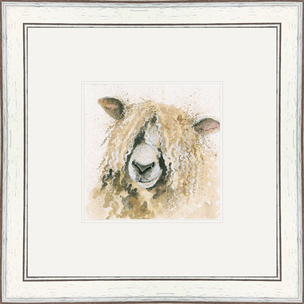 Lincoln (Lincoln Longwool)