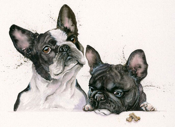 Nouvelle Cuisine (French Bulldog's)