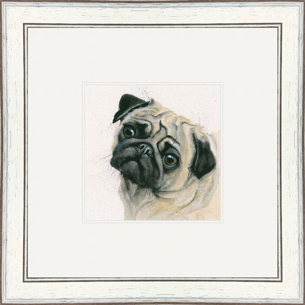 Pugsey (Pug)