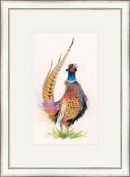 Romeo (Pheasant) - SML