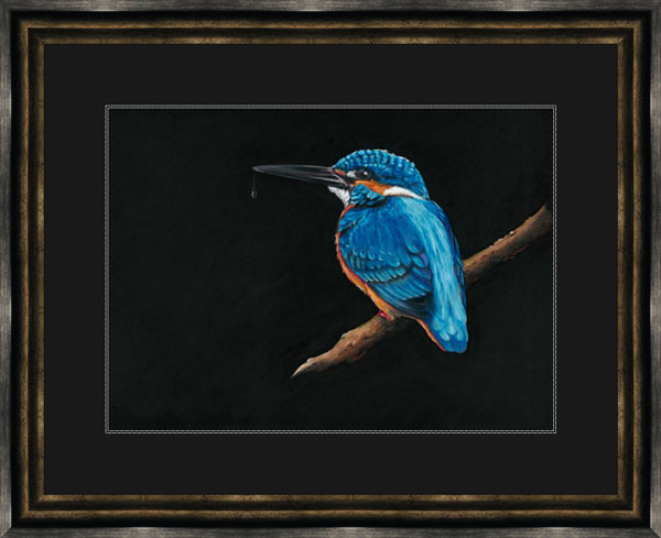 Royal Blue (Kingfisher) - (SML)