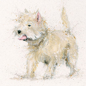 Scruff (Westie)