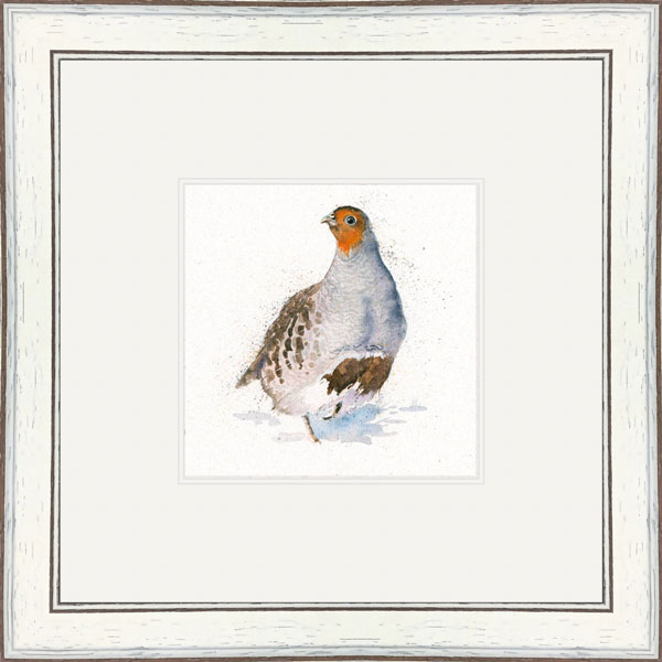 The Englishman (Grey Partridge) 