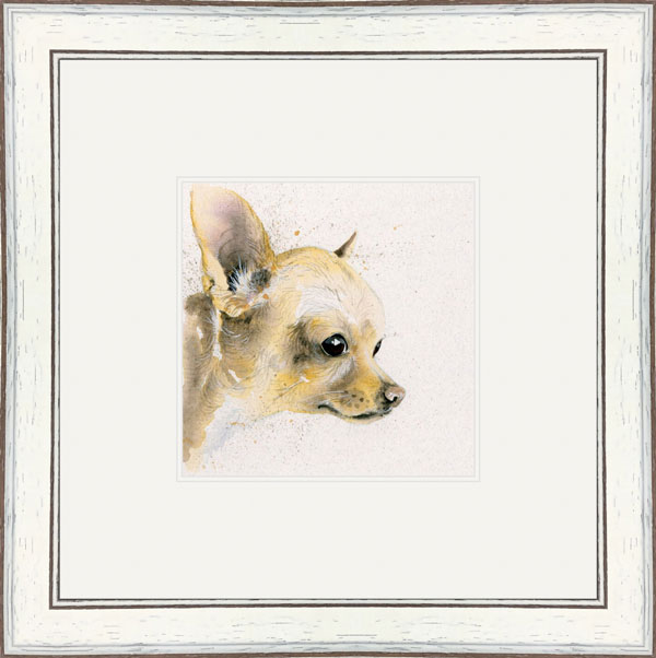 Titch (Chihuahua) 