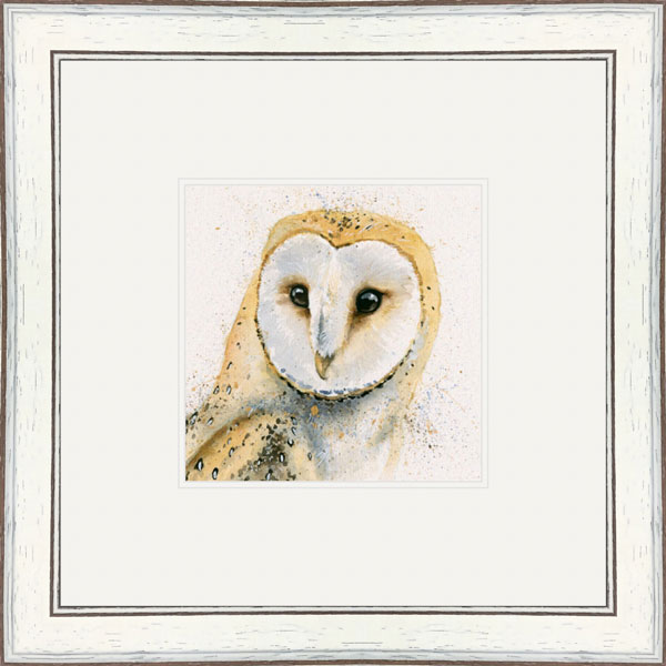 Barney (Barn Owl)