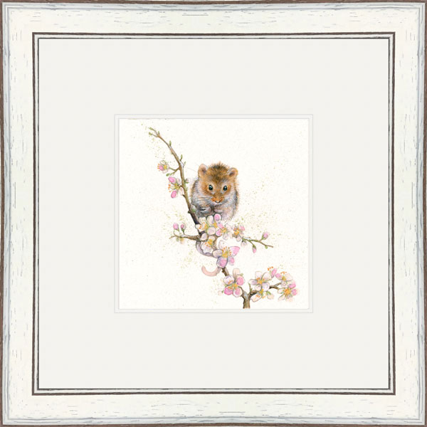 Blossom (Dormouse) 