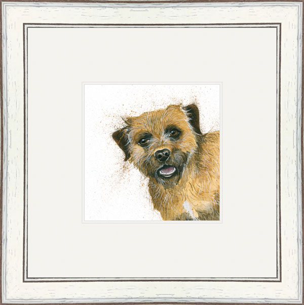 Buster (Border Terrier)