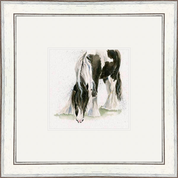 Gypsy (Gypsy Vanner)