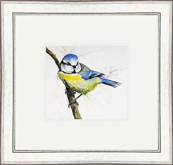 Little Blue (Blue Tit) 