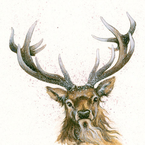 Lord and Master (Stag) 