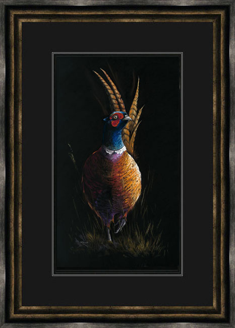 Cock of The Walk (Pheasant) 