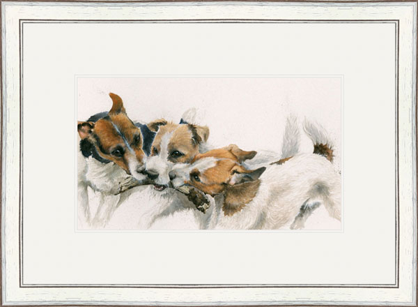 The Rat Pack (Jack Russell Terriers)