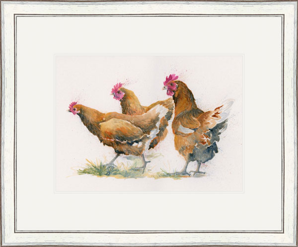 Red Heads (Chickens)