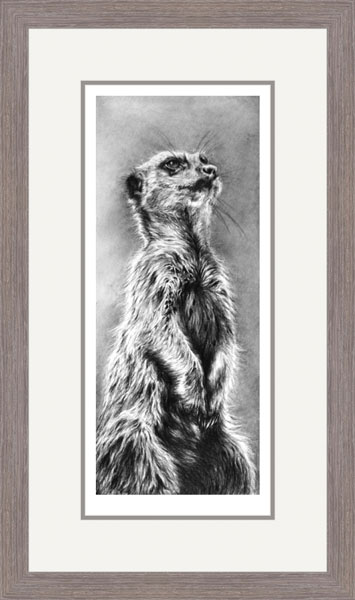 The Sentinel (Meerkat) 