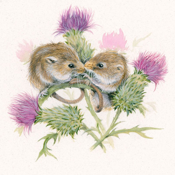 Thistles (Dormice) 