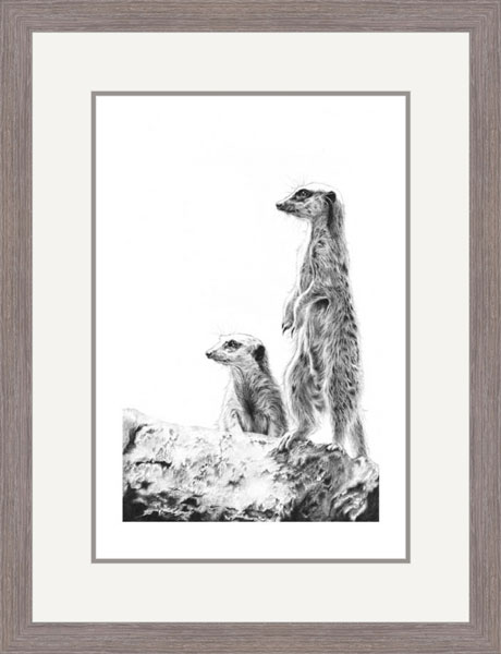 View Point (Meerkats) 